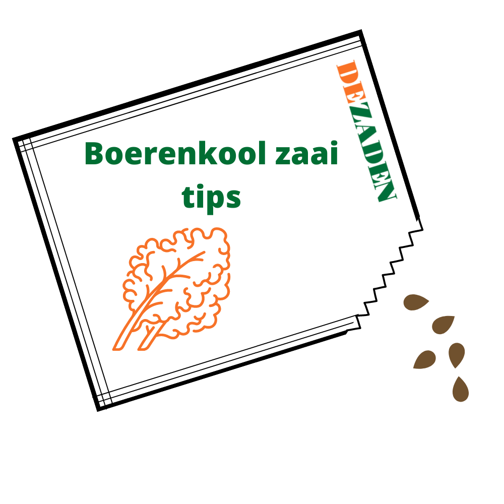 Zaaitips en advies over Boerenkool zaden zaaien