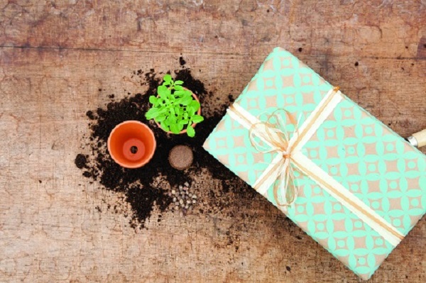 Aanbiedingen zaden, kweekartikelen, kweekkassen en kweeksets voor binnen!