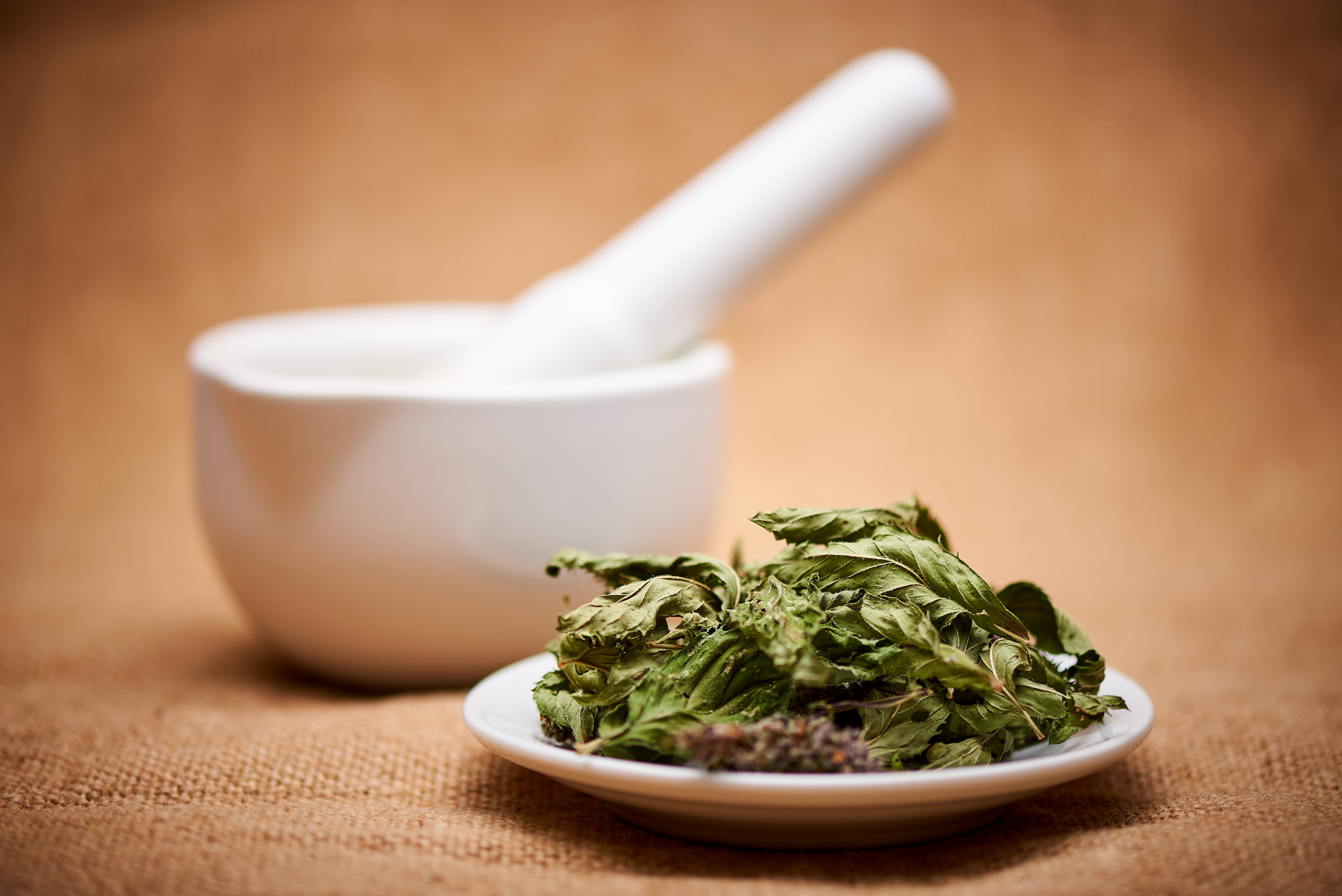 Basilicum zaaien en pesto maken, bijzondere basilicum soorten zaaien