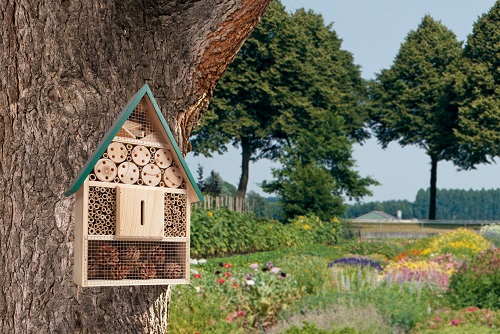 zaden, kweeksets, moestuin-artikelen en gereedschap. Leuke aanbiedingen! Tuinonderhoud, planten water geven