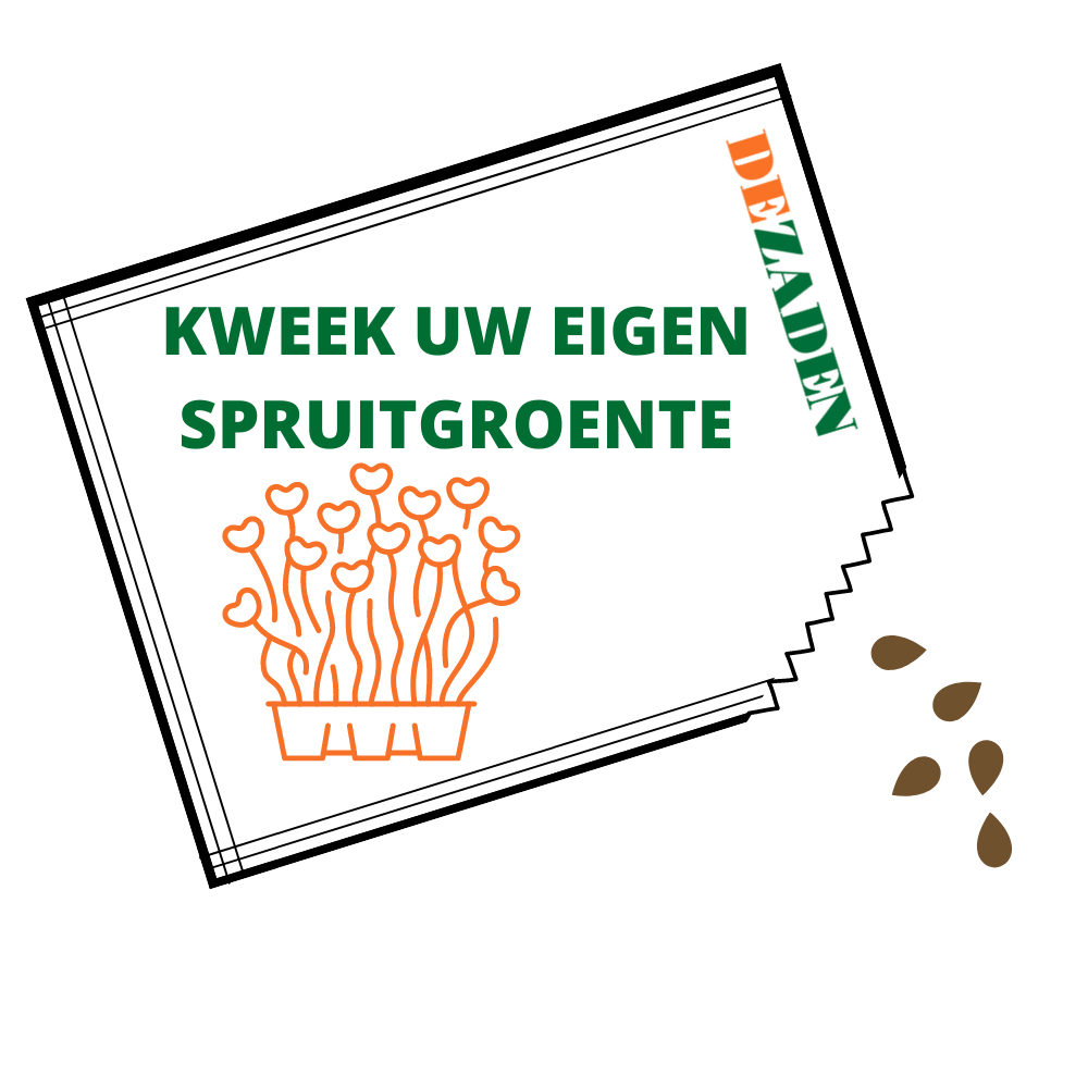 Spruitgroenten kweken zaaiadvies