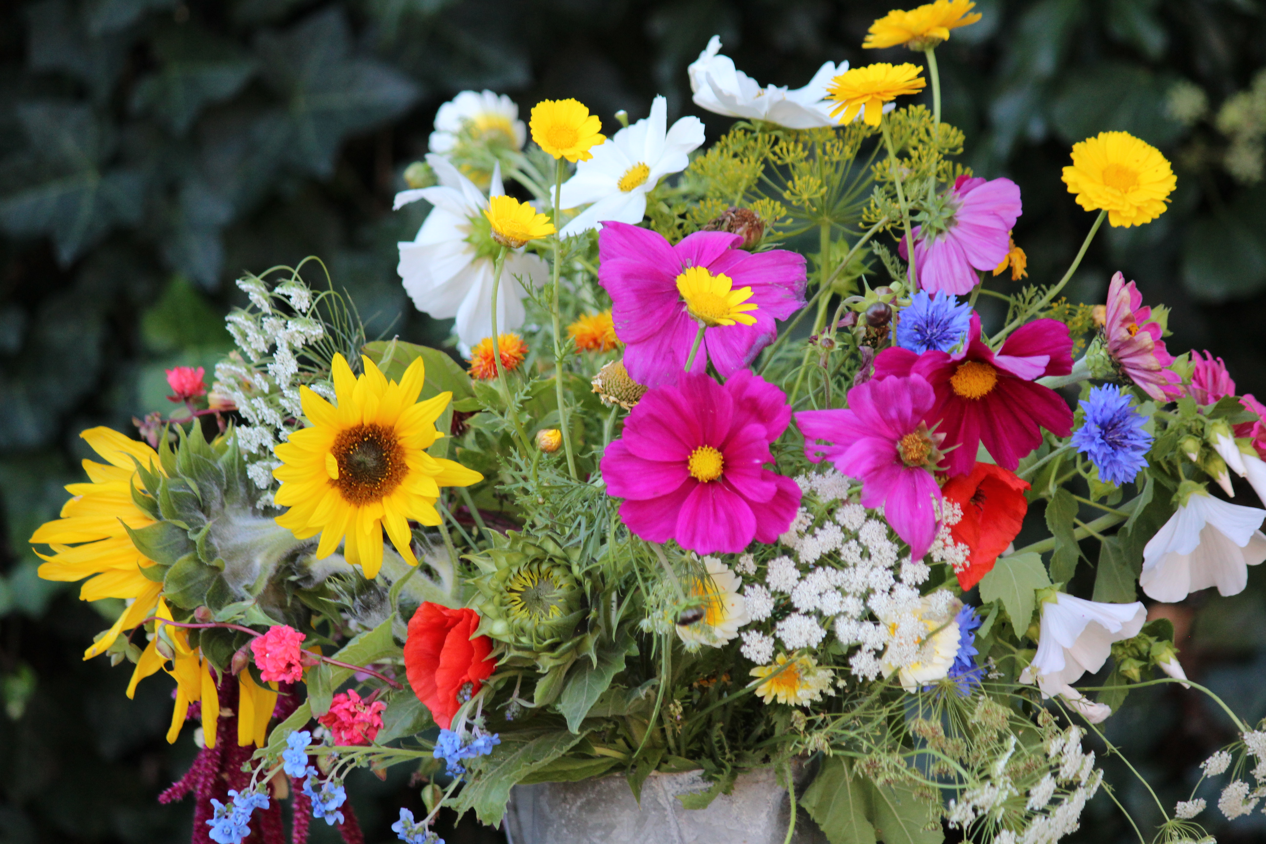 Colourfull Bouquets en Bouquet Bars