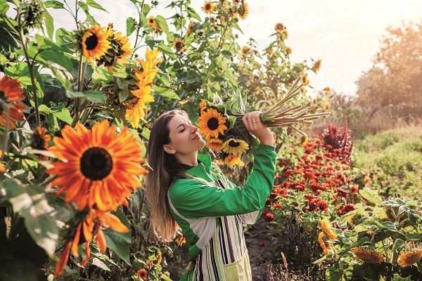 Bekijk ons volledig assortiment bouquet en bloemenmengsel