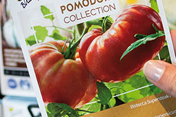 Bijzondere en uitzonderlijke tomatenrassen