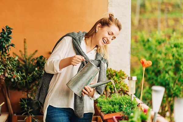 Welke planten zet je op het balkon of in de daktuin?