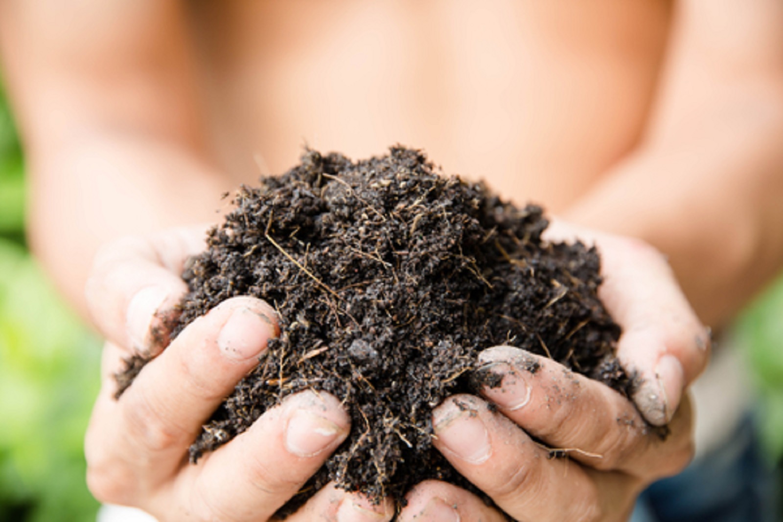 Een ecologische tuin aanleggen