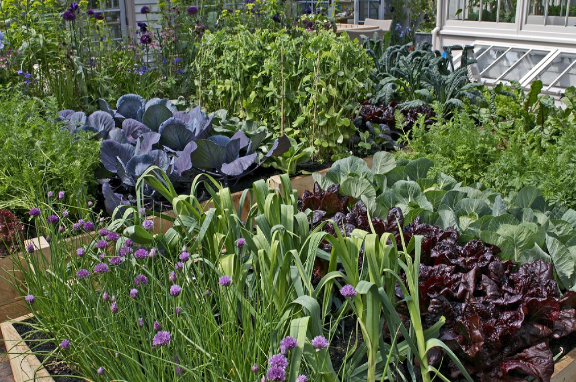 Moestuin aanleggen Moestuin aanleggen