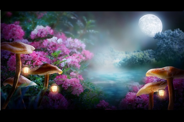 Maak een moon garden Maak een moon garden