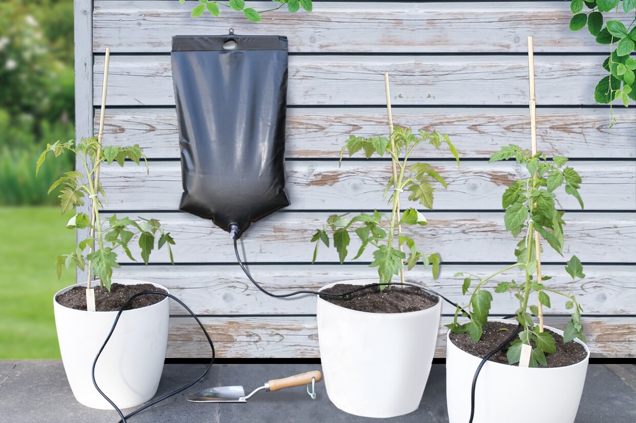 Fruit beschermen, planten steunen & automatisch watergeven Fruit beschermen, planten steunen & automatisch watergeven