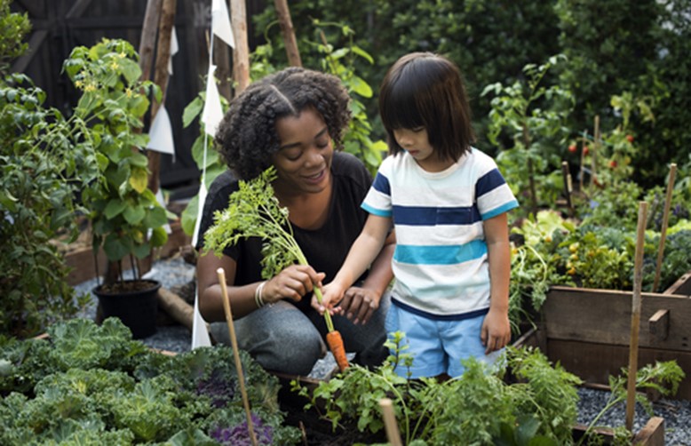 Een moestuin voor kinderen