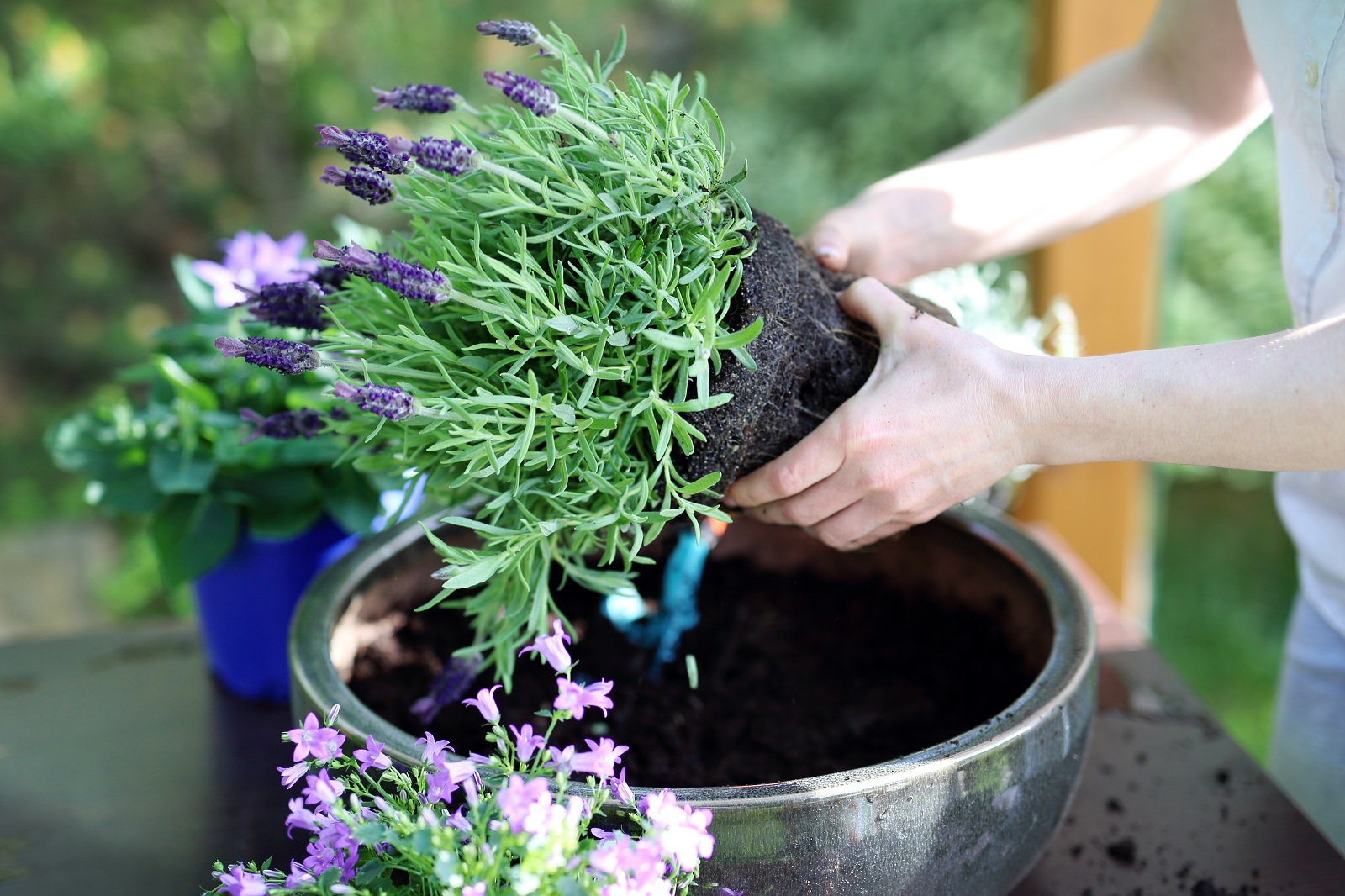 Potten beplanten: zo doe je dat!