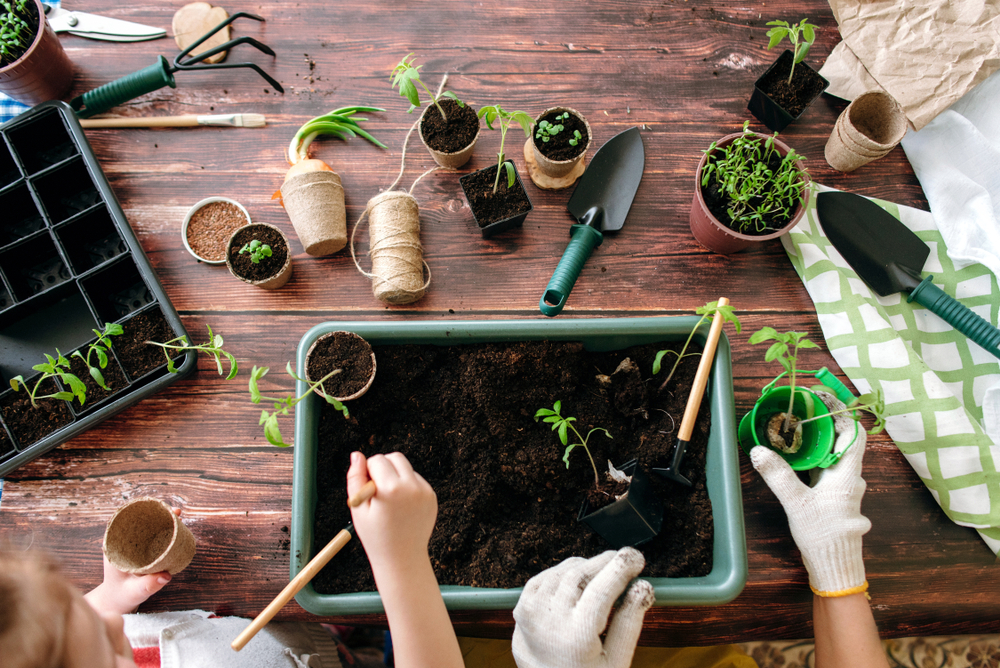 Handige tuinhulpjes maken tuinieren iets makkelijker