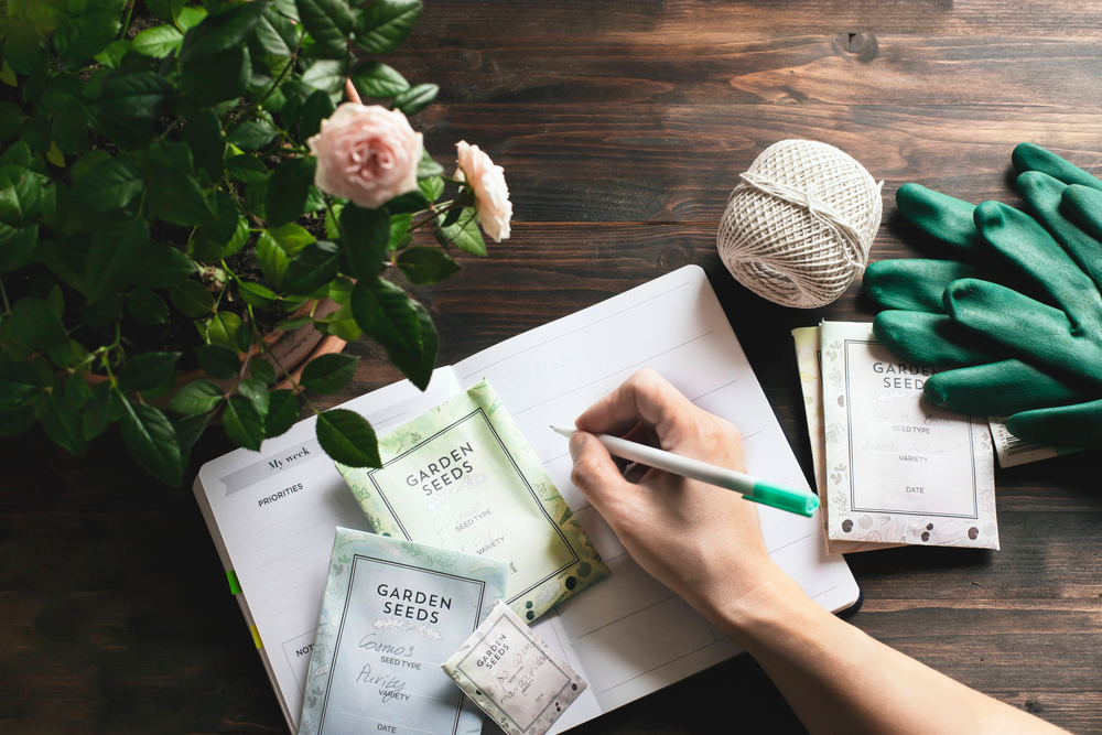 Een tuinplan maken: leuk én nuttig | Zo ga je te werk