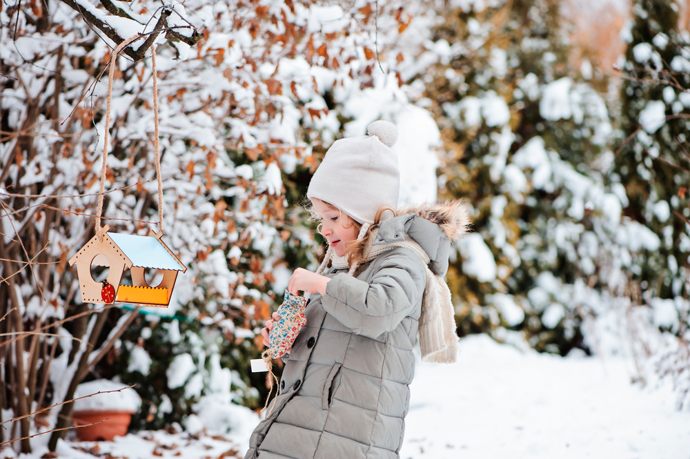 Tuin winterklaar maken: bereid je tuin voor op de winter