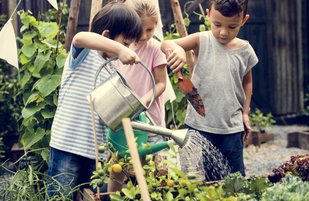 Een moestuin voor kinderen Een moestuin voor kinderen