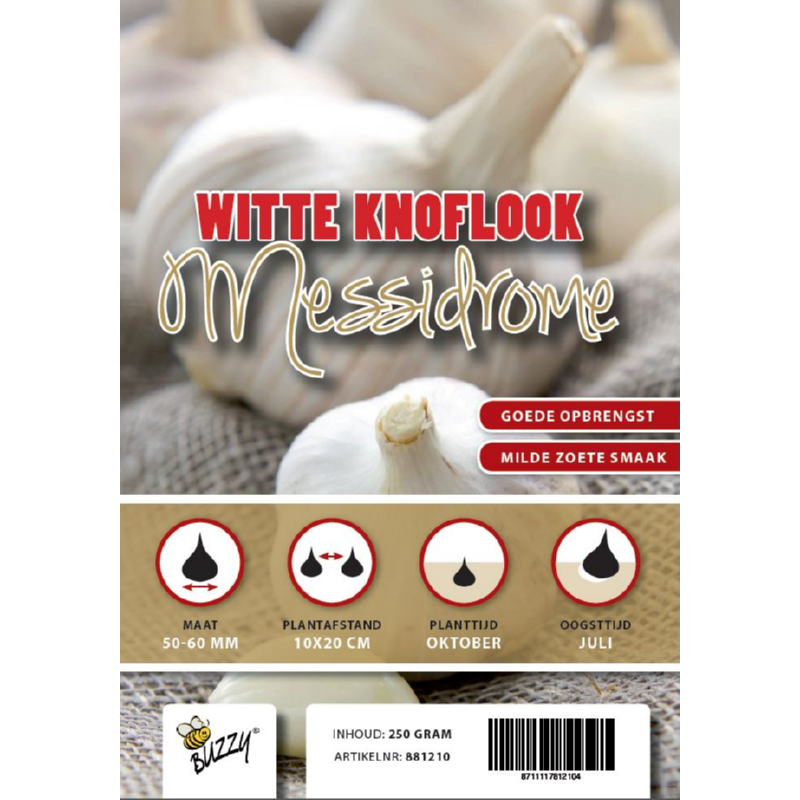 Winter Knoflook Messidrome 5 stuks