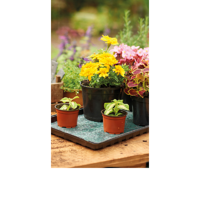 Bewateringmat 60x200cm