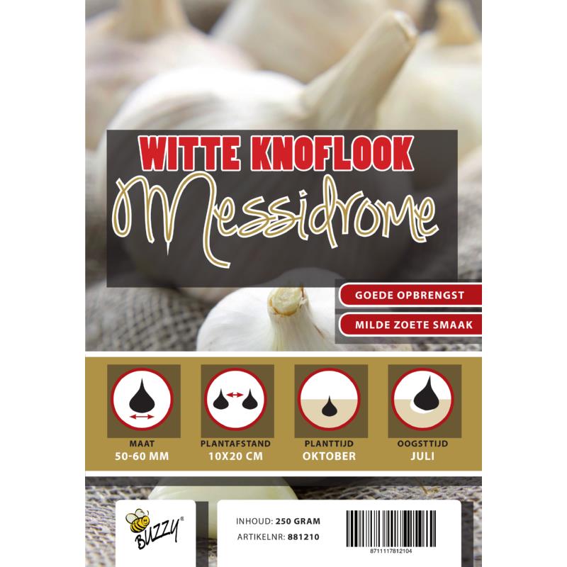 Winter Knoflook Messidrome 5 stuks