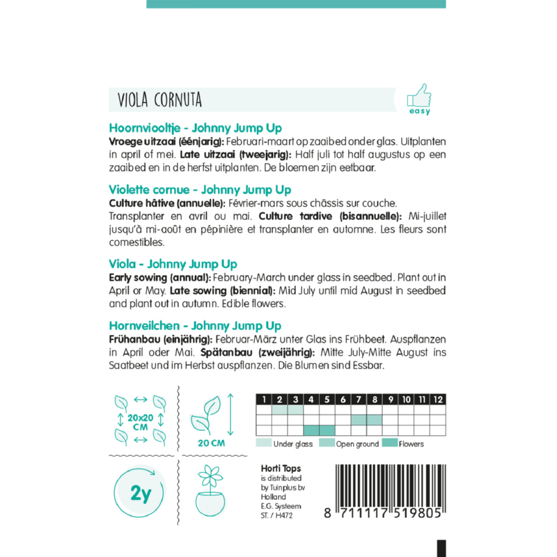 Viola, Hoornviooltje Johnny Jump Up