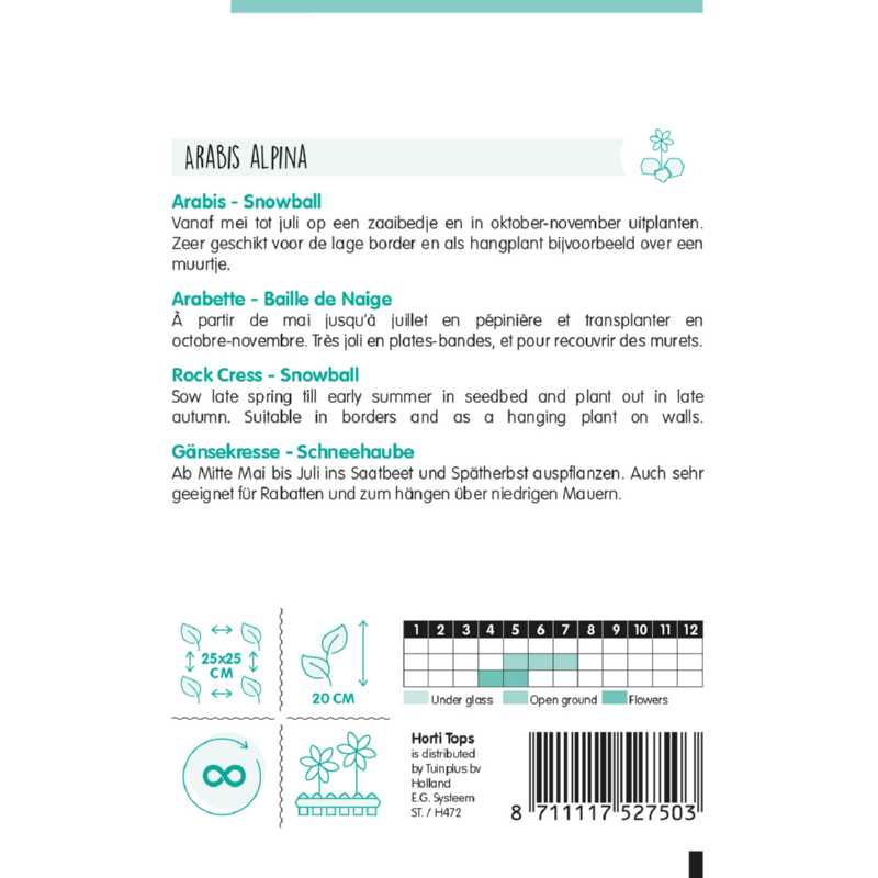 Arabis, Scheefkelk Snowball