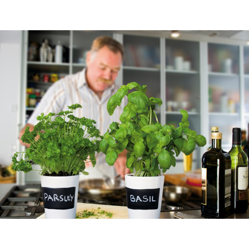 Kruiden set, drie witte potten met krijt en aarde