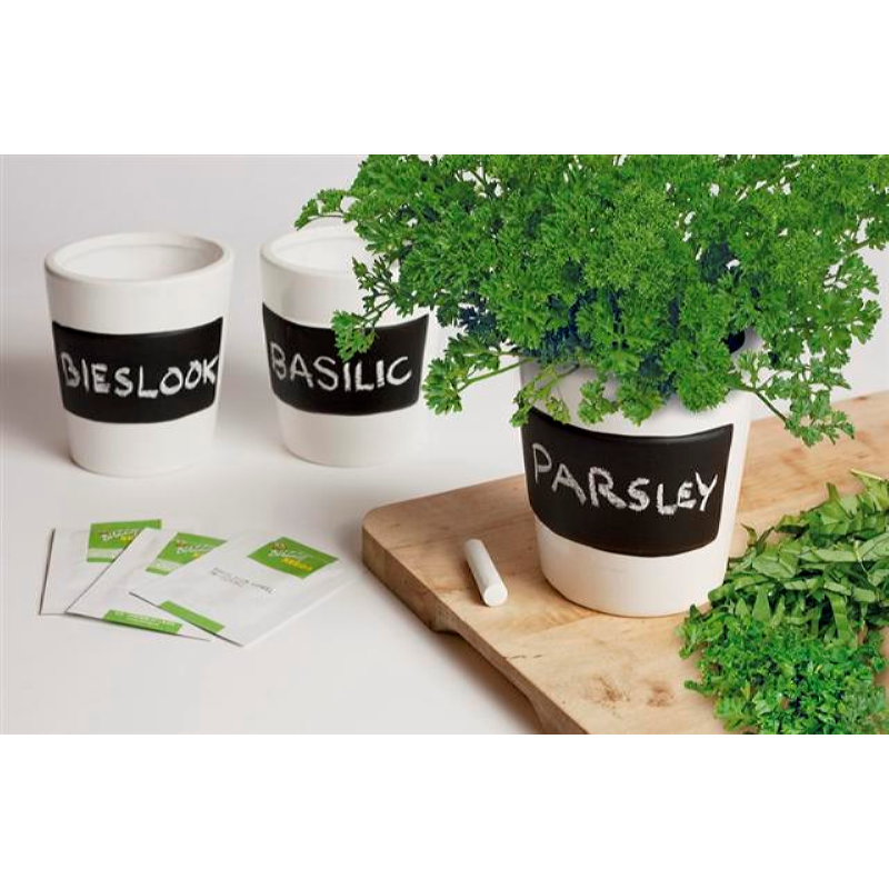 Kruiden set, drie witte potten met krijt en aarde