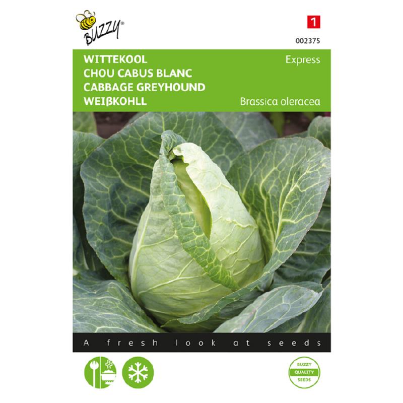Witte kool Express