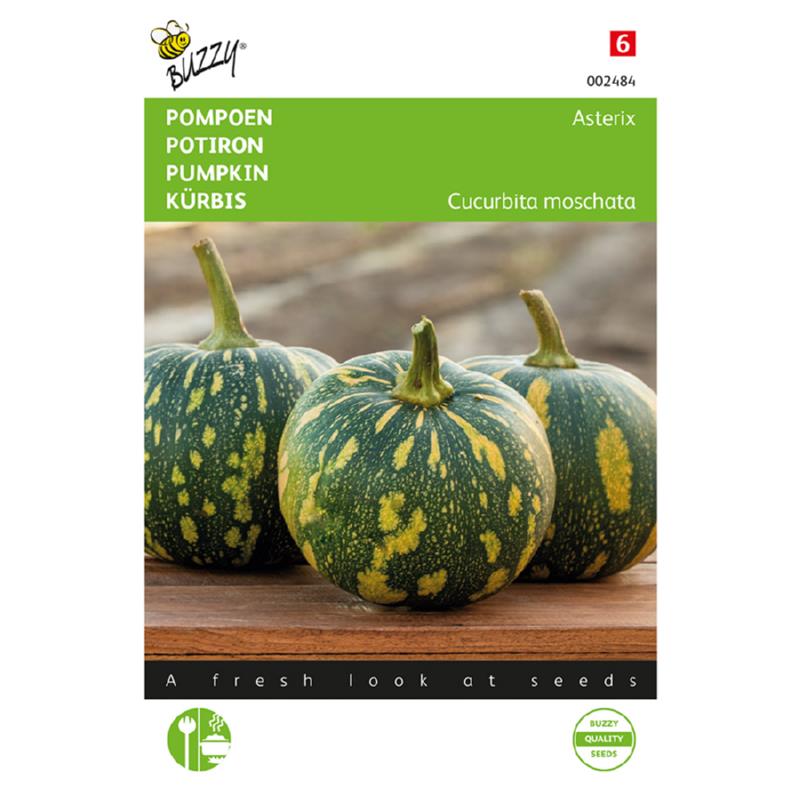 Pompoen Asterix, panterprint