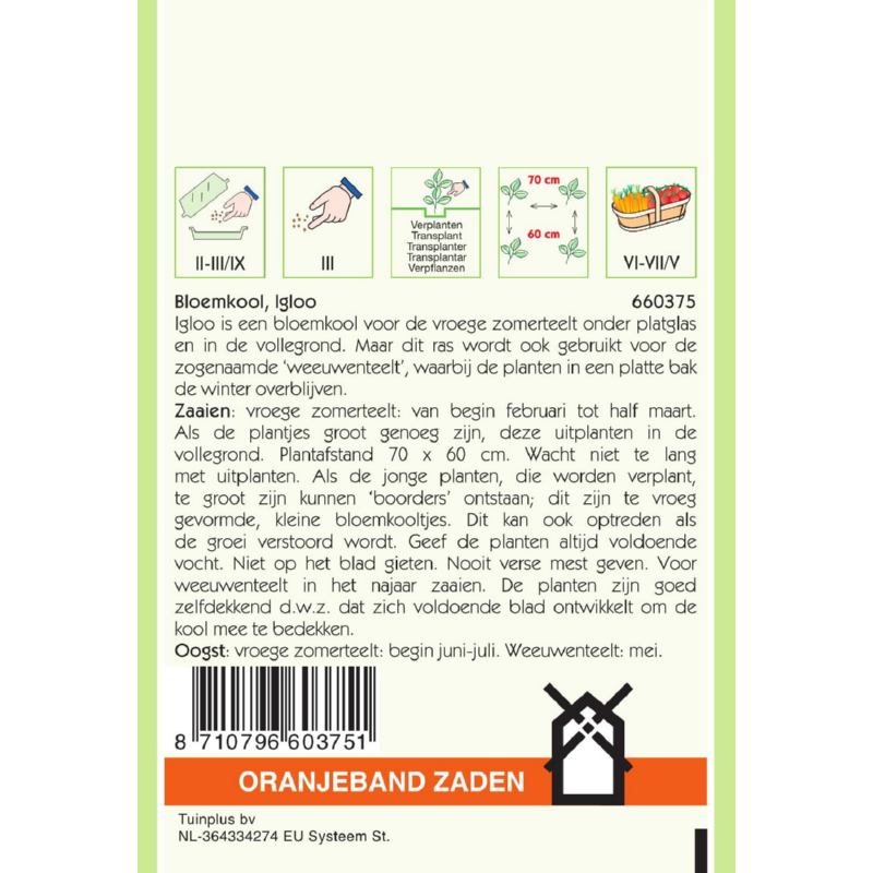 Bloemkool Igloo