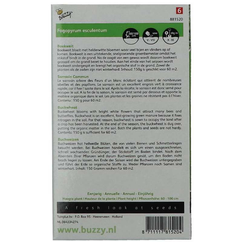 Groenbemester Boekweit