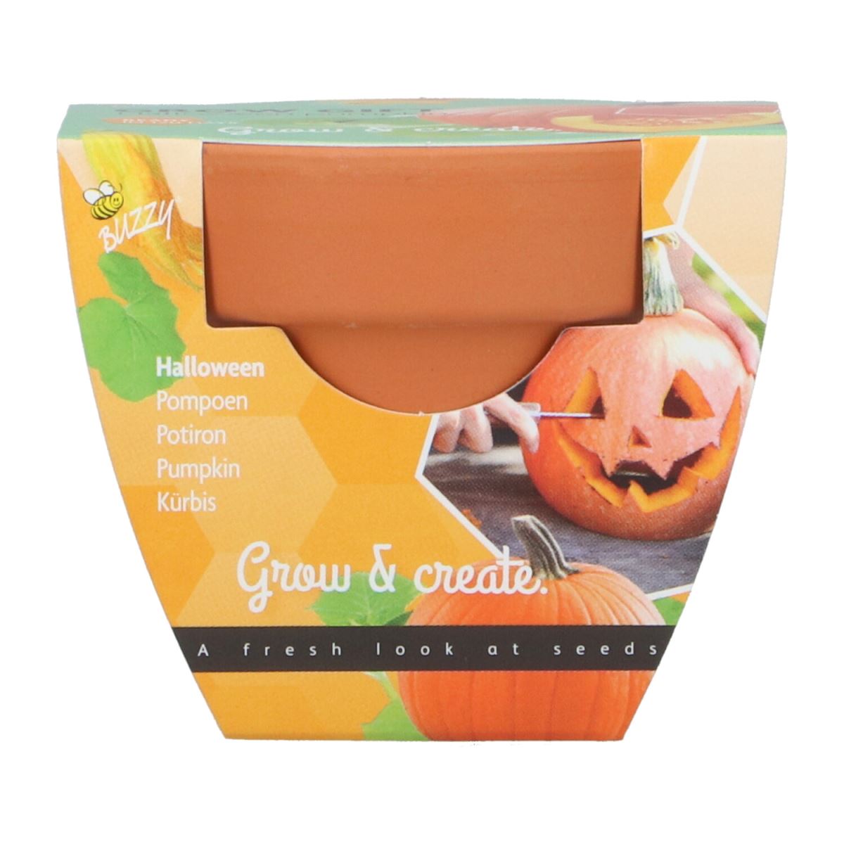 Growgift pompoen Haloween