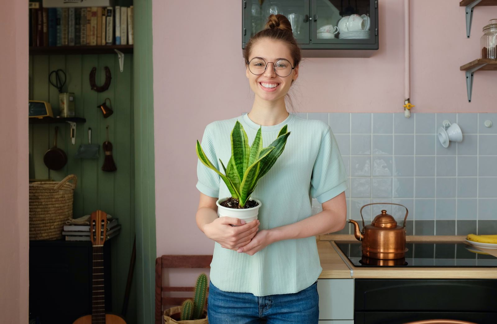 Kamerplanten zelf opkweken