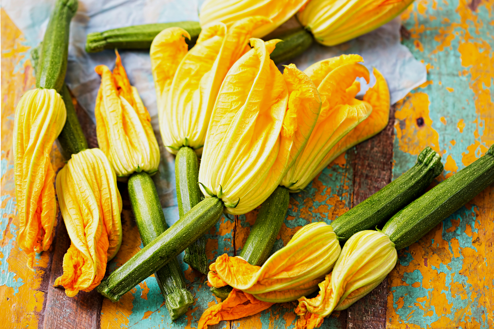 courgettebloemen 