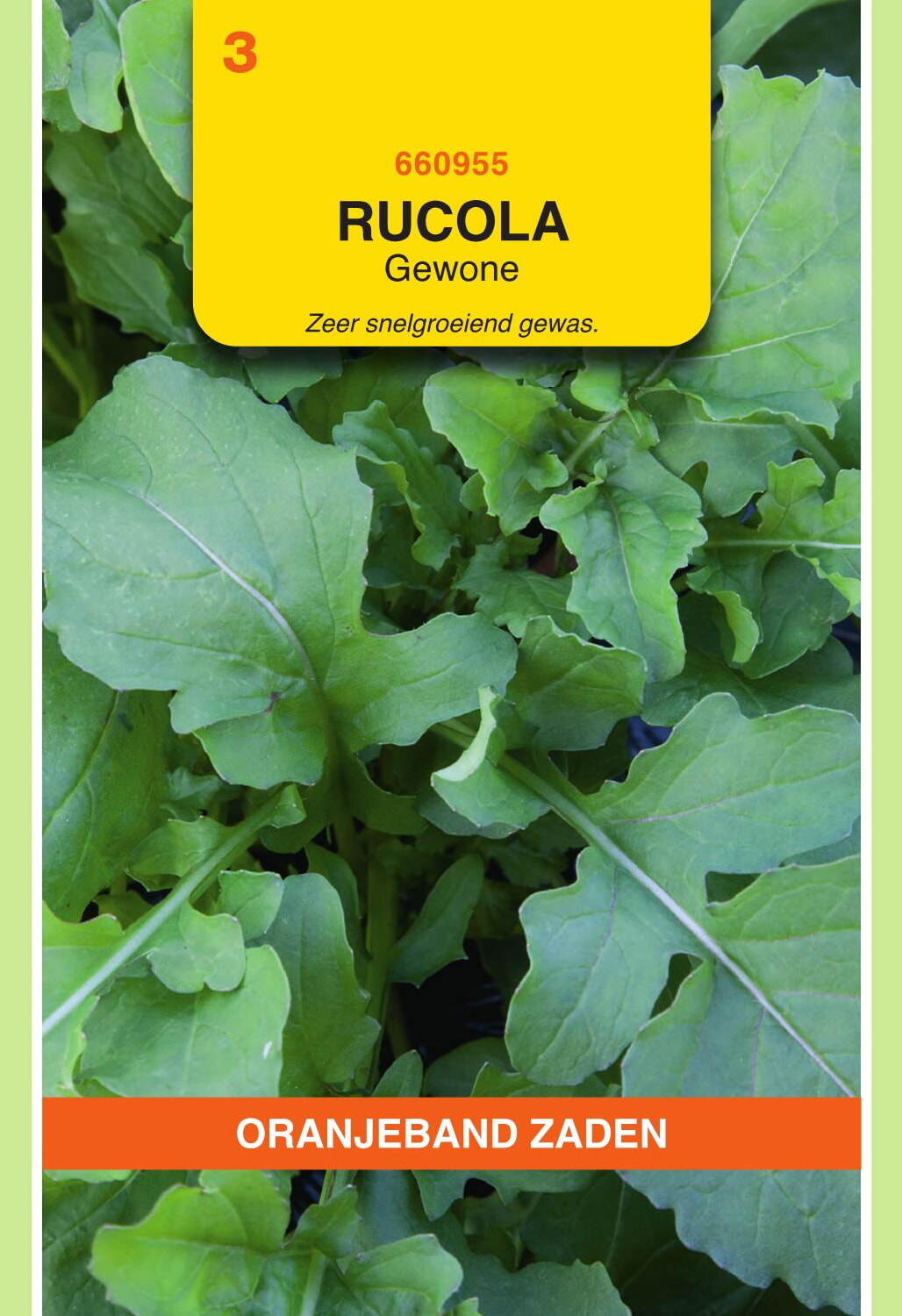 OBZ Rucola Zaden Gewone