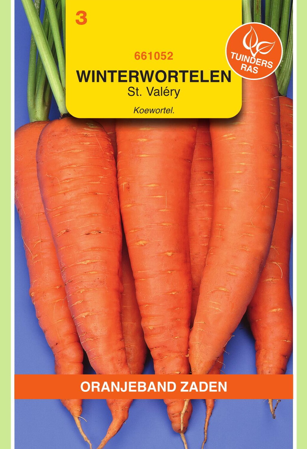OBZ Winterwortel Zaden Saint-Valery