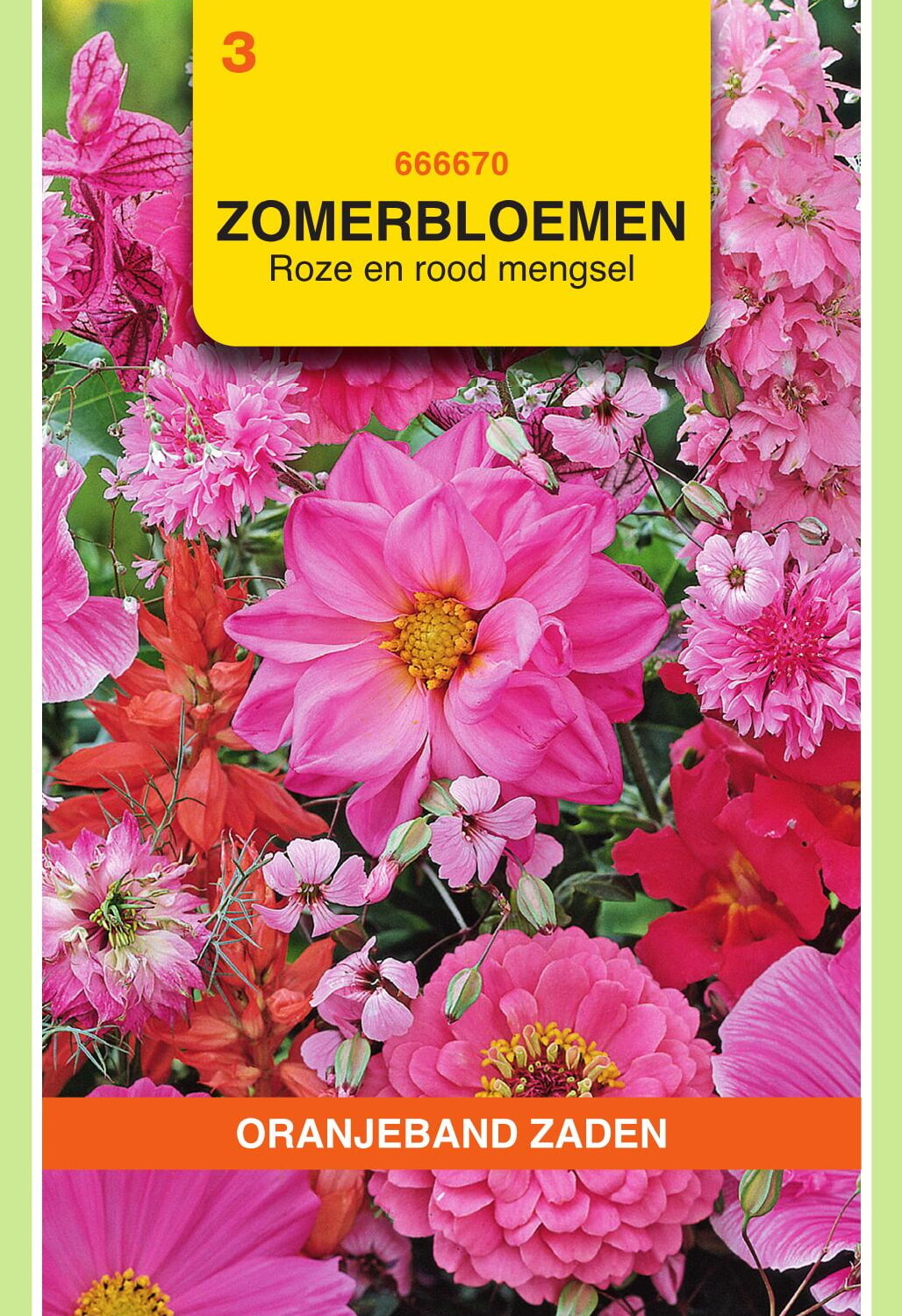 OBZ Zomerbloemen Zaden Mengsel Roze/Rood