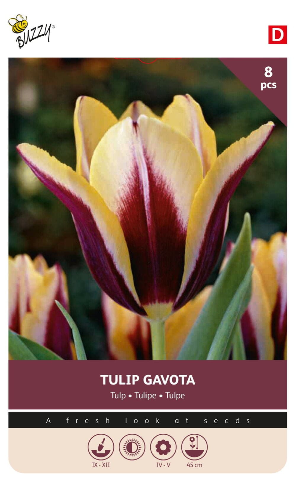 Tulpenbollen Triumph Gavota 11/12 8st.