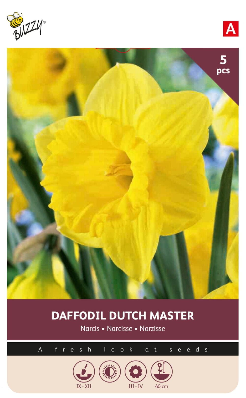 Narcissen bollen Dutch Master