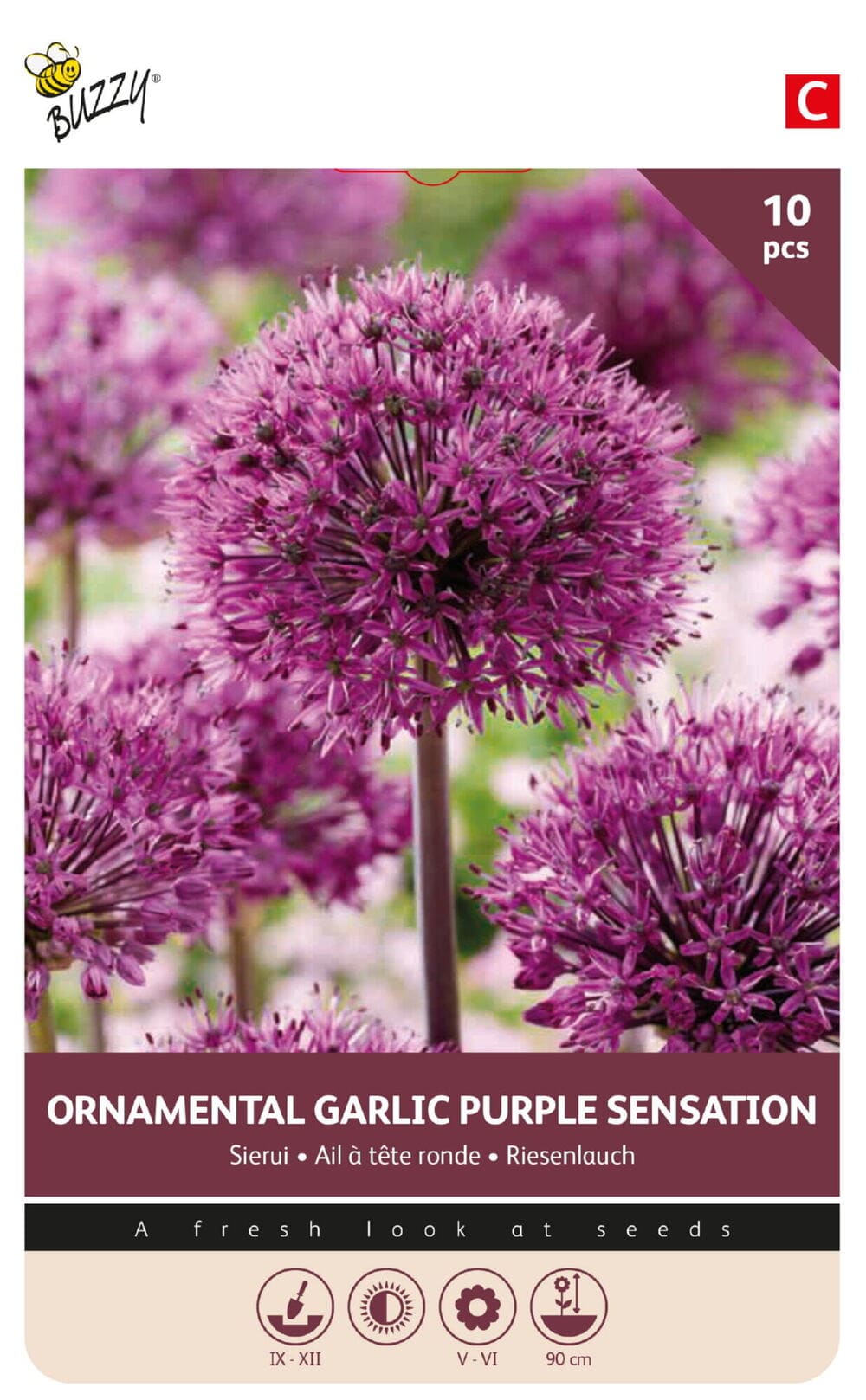 Allium Purple Sensation Sierui bollen 10/12 10st.