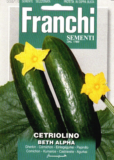 Franchi Augurk Zaden Cetriolino Beth Alpha