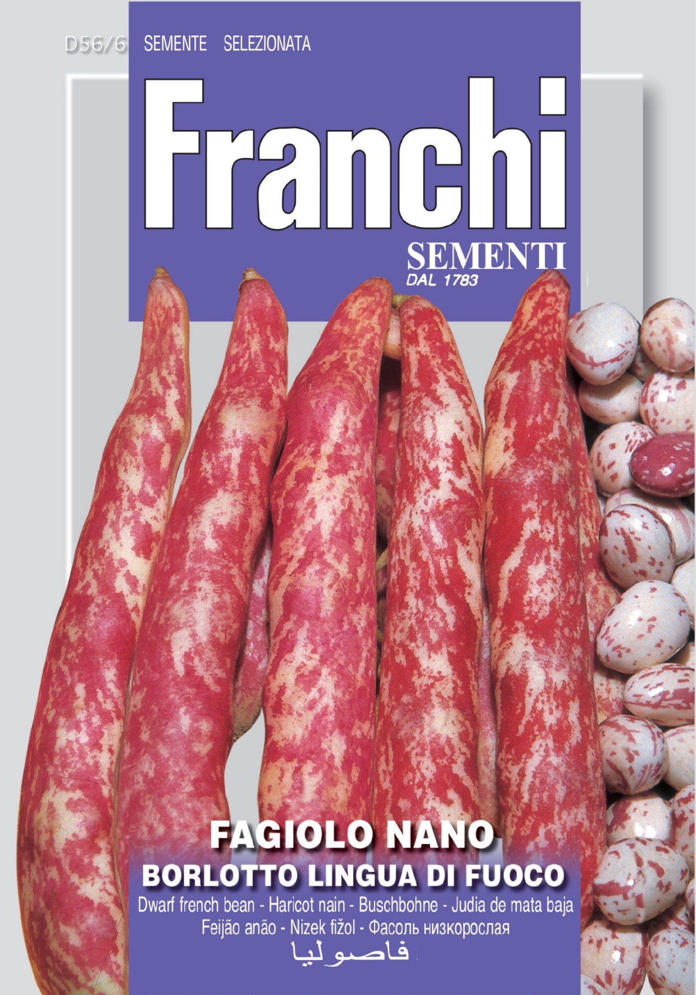 Franchi Stamboon Kievits Zaden Fagiolo Borlotto