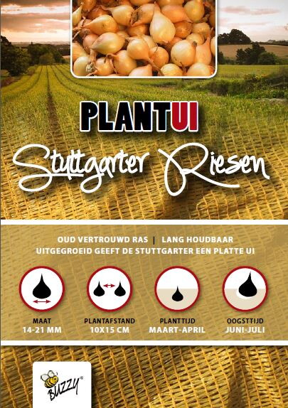 Plantuien Stuttgarter Riesen 250gr