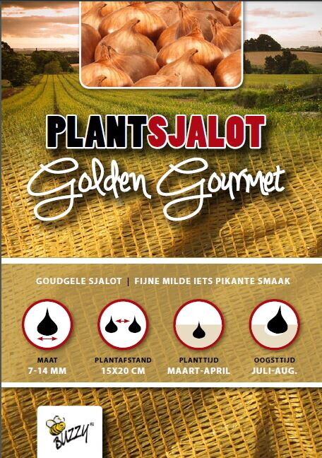 Plantsjalotten Golden Gourmet 250gr