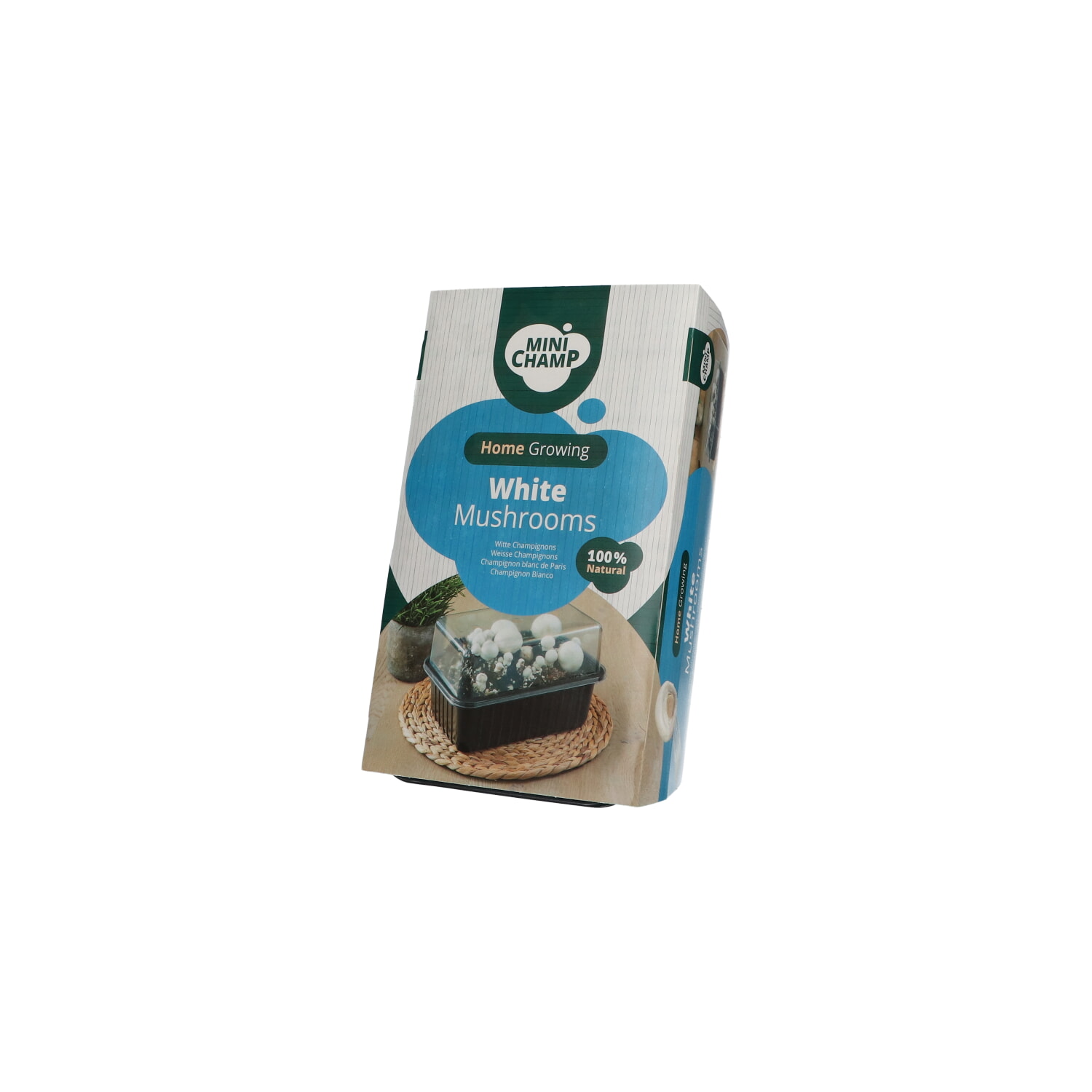 Mini Champ Home Growing Witte champignons