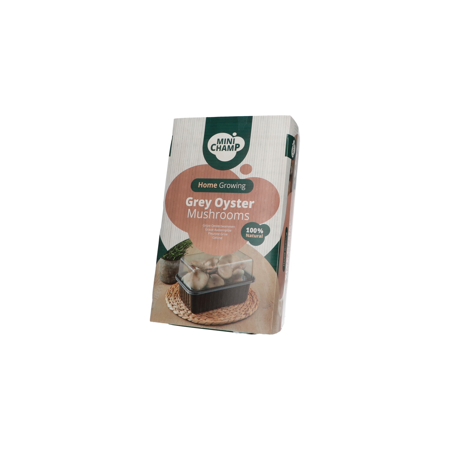 Mini Champ Home Growing Grijze oesterzwam