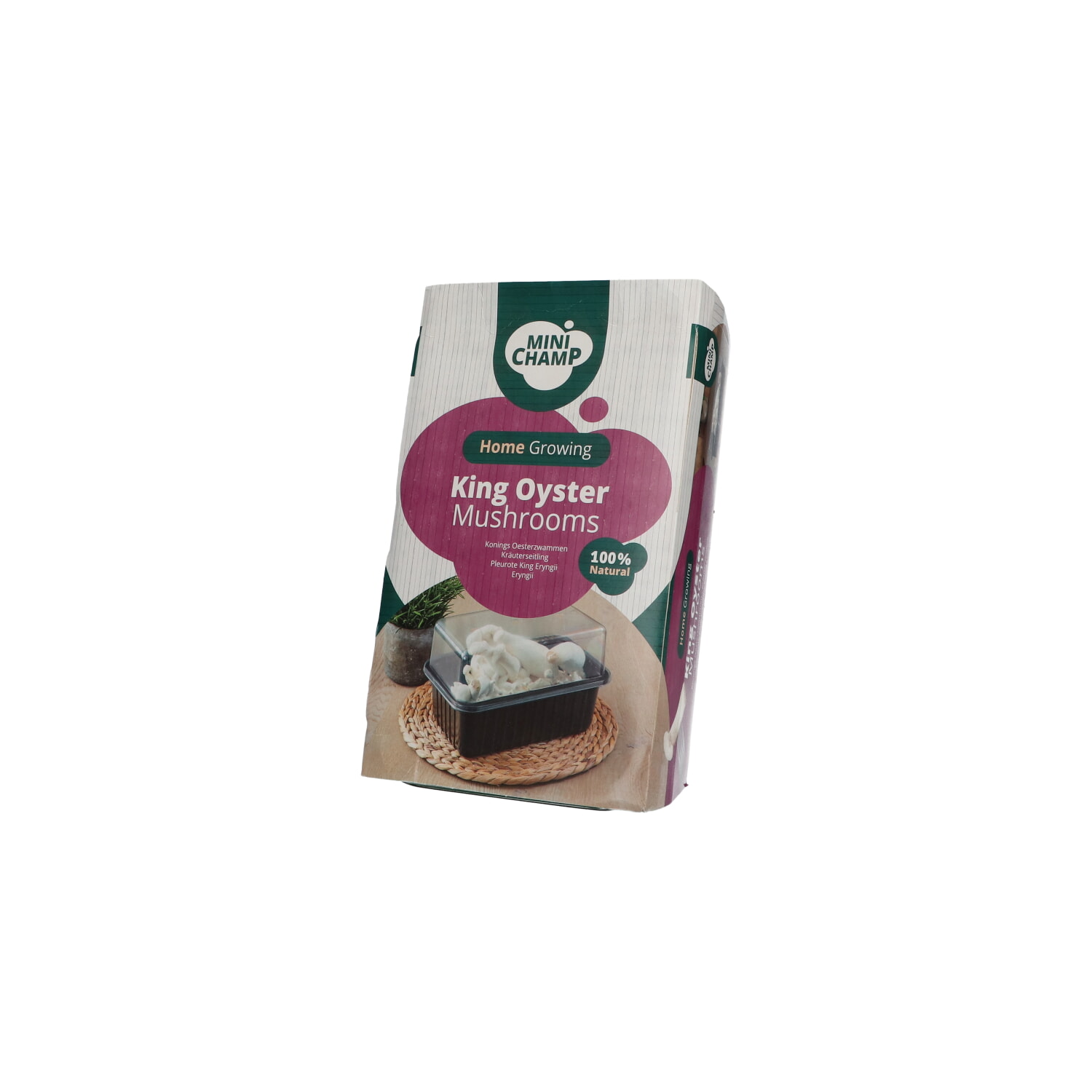 Mini Champ Home Growing Konings oester