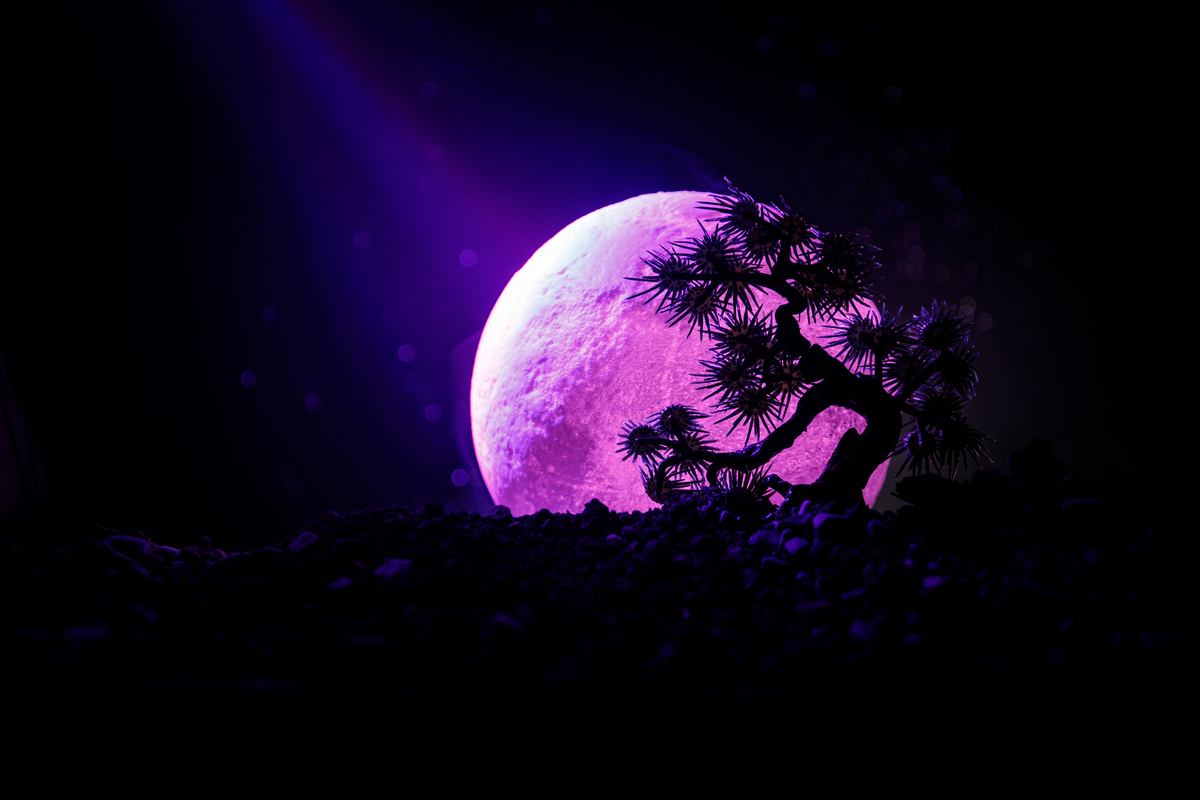 Maak een moon garden