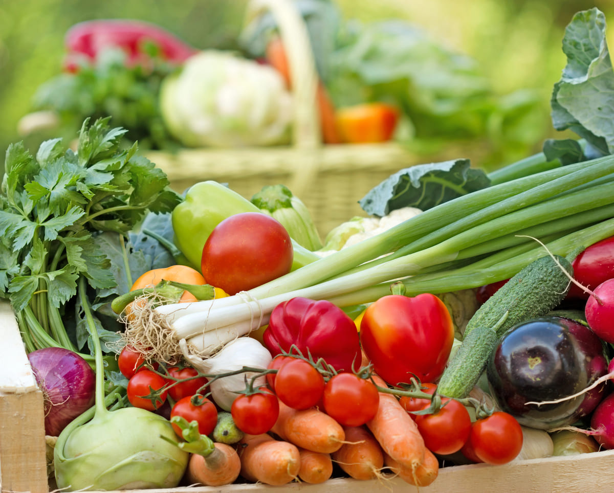 groene voornemens start je eigen moestuin