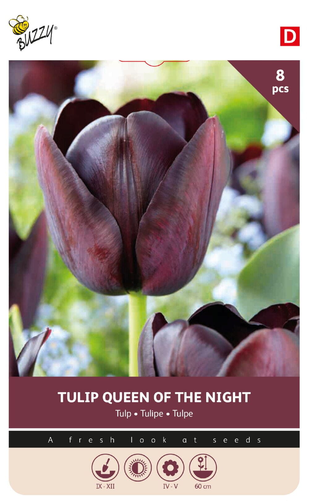 Tulpenbollen Queen of Night 8st.