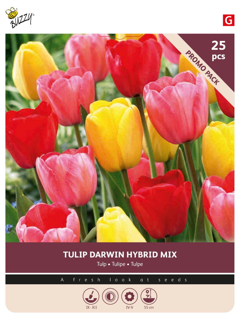 Tulpenbollen Darwin Gemengd 25st.